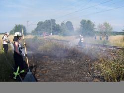 20150704 Großer Flächenbrand L566 Basheide 06